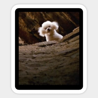 THE SILENCE OF THE LAMBS DOG PRECIOUS Sticker